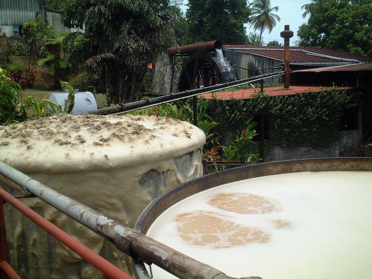 Cuves de fermentation — rhum agricole des Antilles